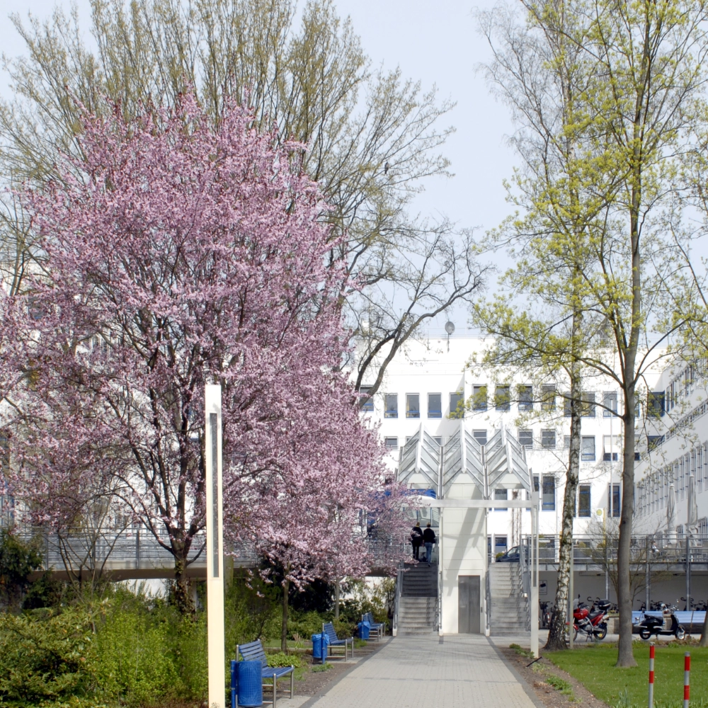 Klinik Nauen